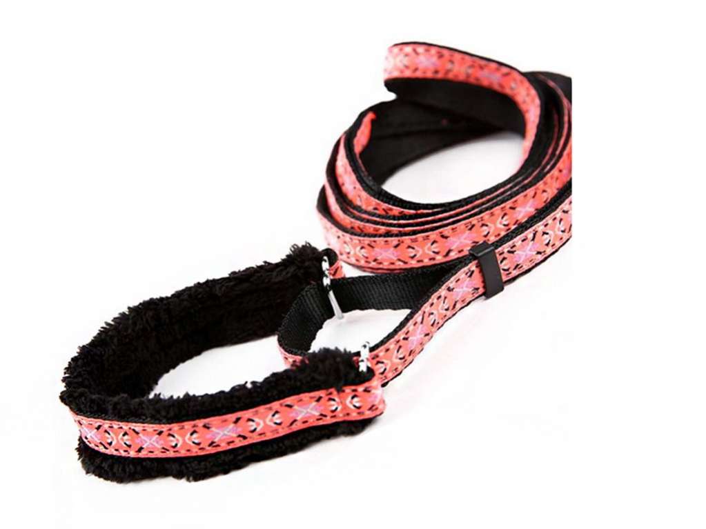 Ошейник для собак ForMyDogs с поводком