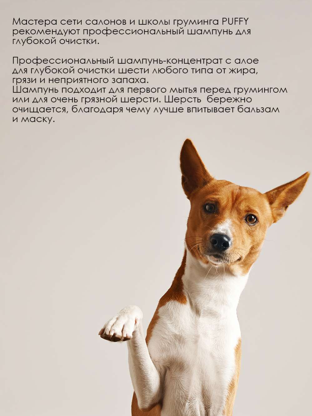 Шампунь концентрат Puffy суперочистка