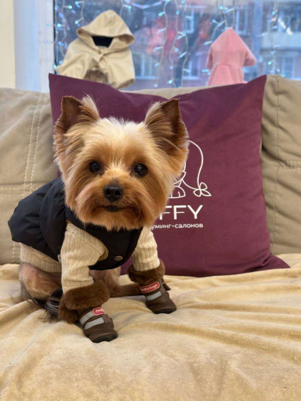 Свитшот для собак Puffy Лапша бежевый