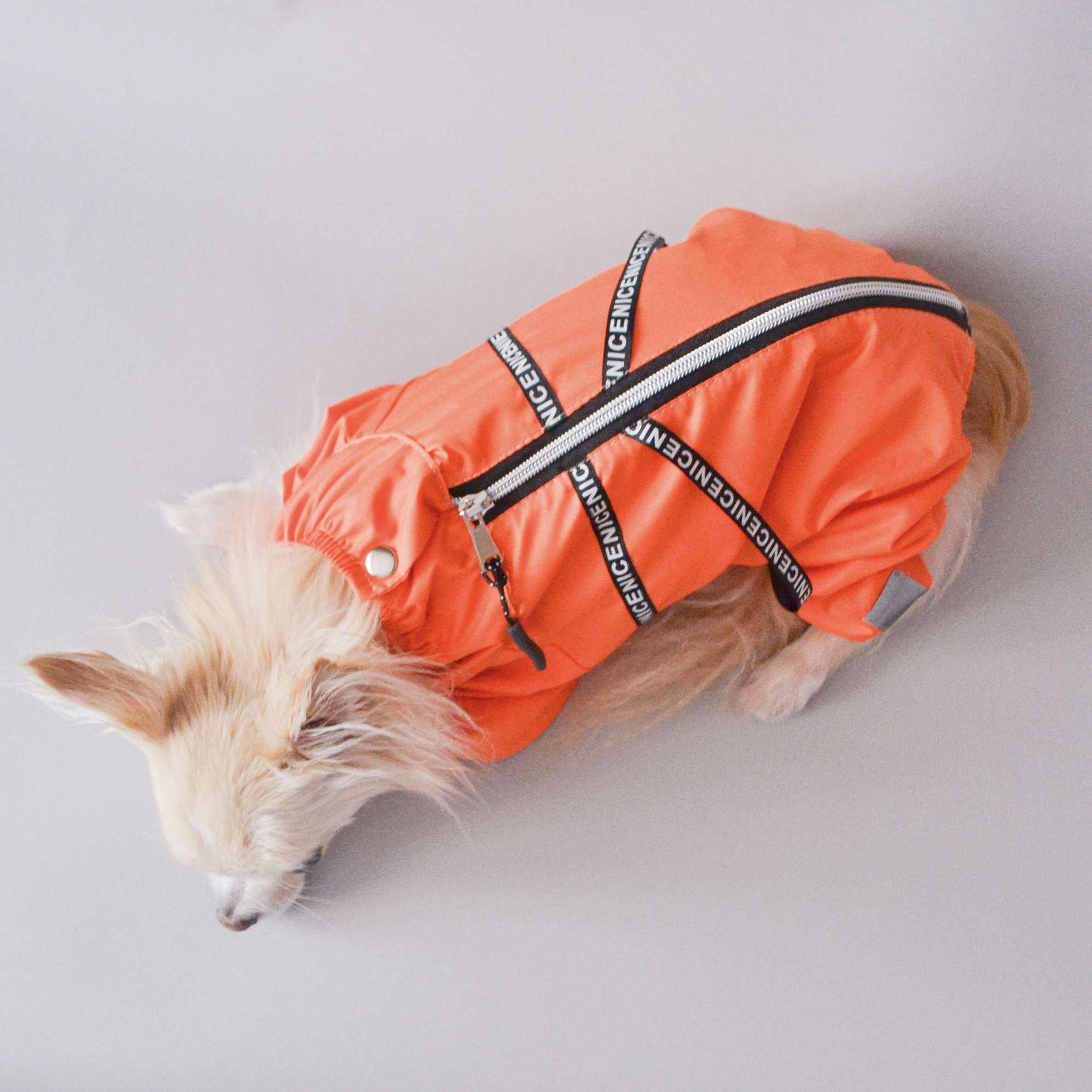 Дождевик для собаки Puffy Найс