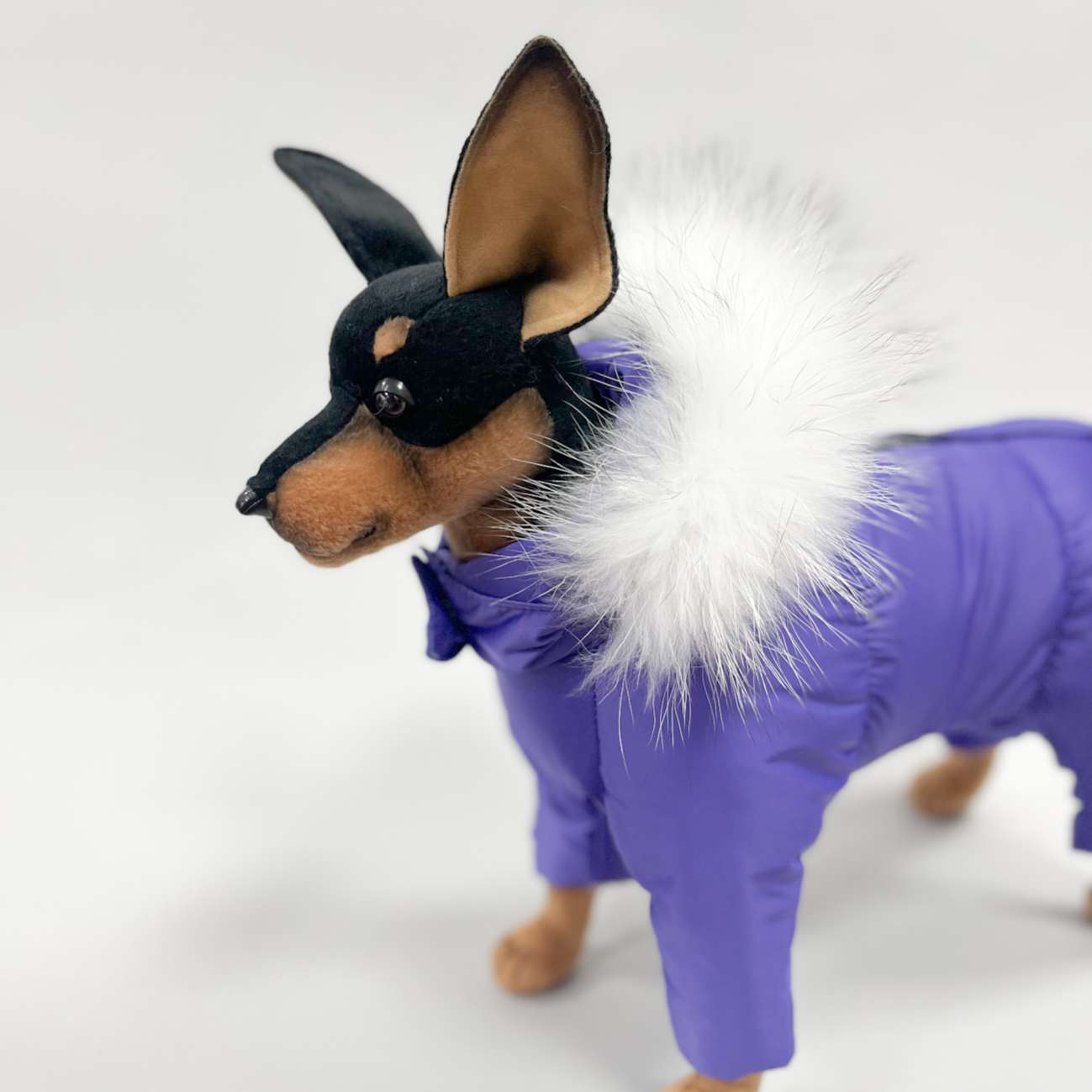 Комбинезон для собак Северное сияние Вайлет