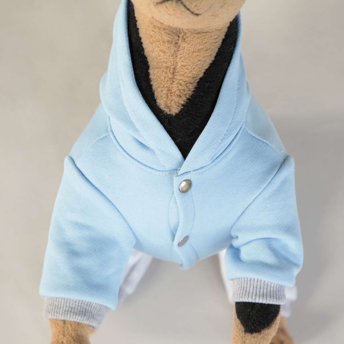 Спортивный костюм для собак Стар