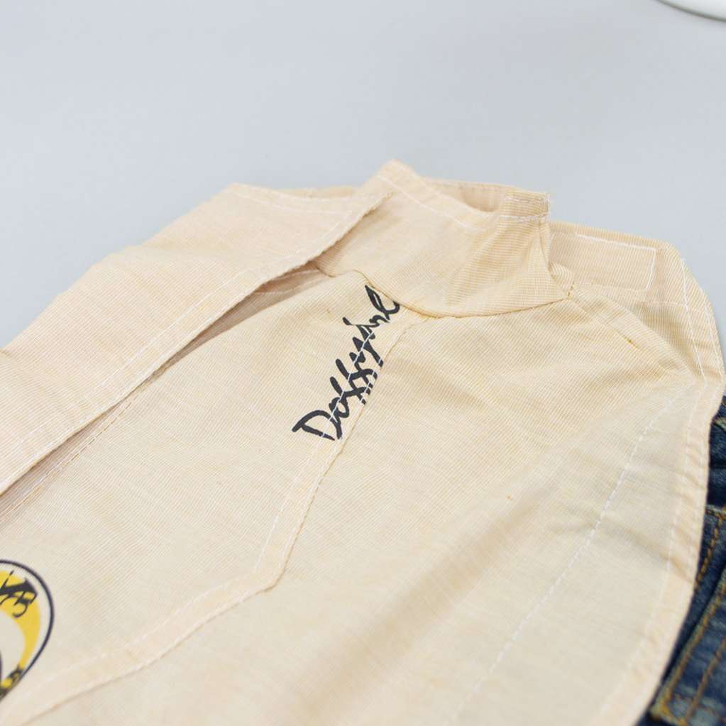 Рубашка с джинсами для собак DD