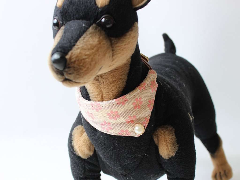 Ошейник и поводок для собаки Шарм