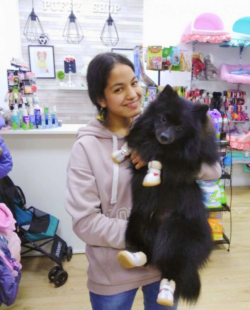 Ботинки для собак на молнии Pet Blink