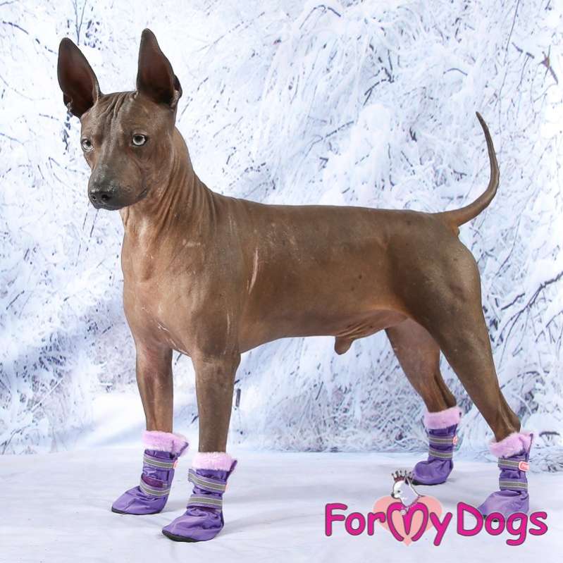 Зимняя обувь для собак ForMyDogs Азур