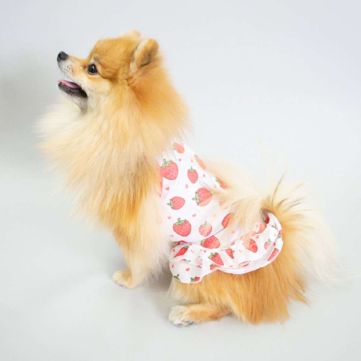 Платье для собак Pet Клубнички