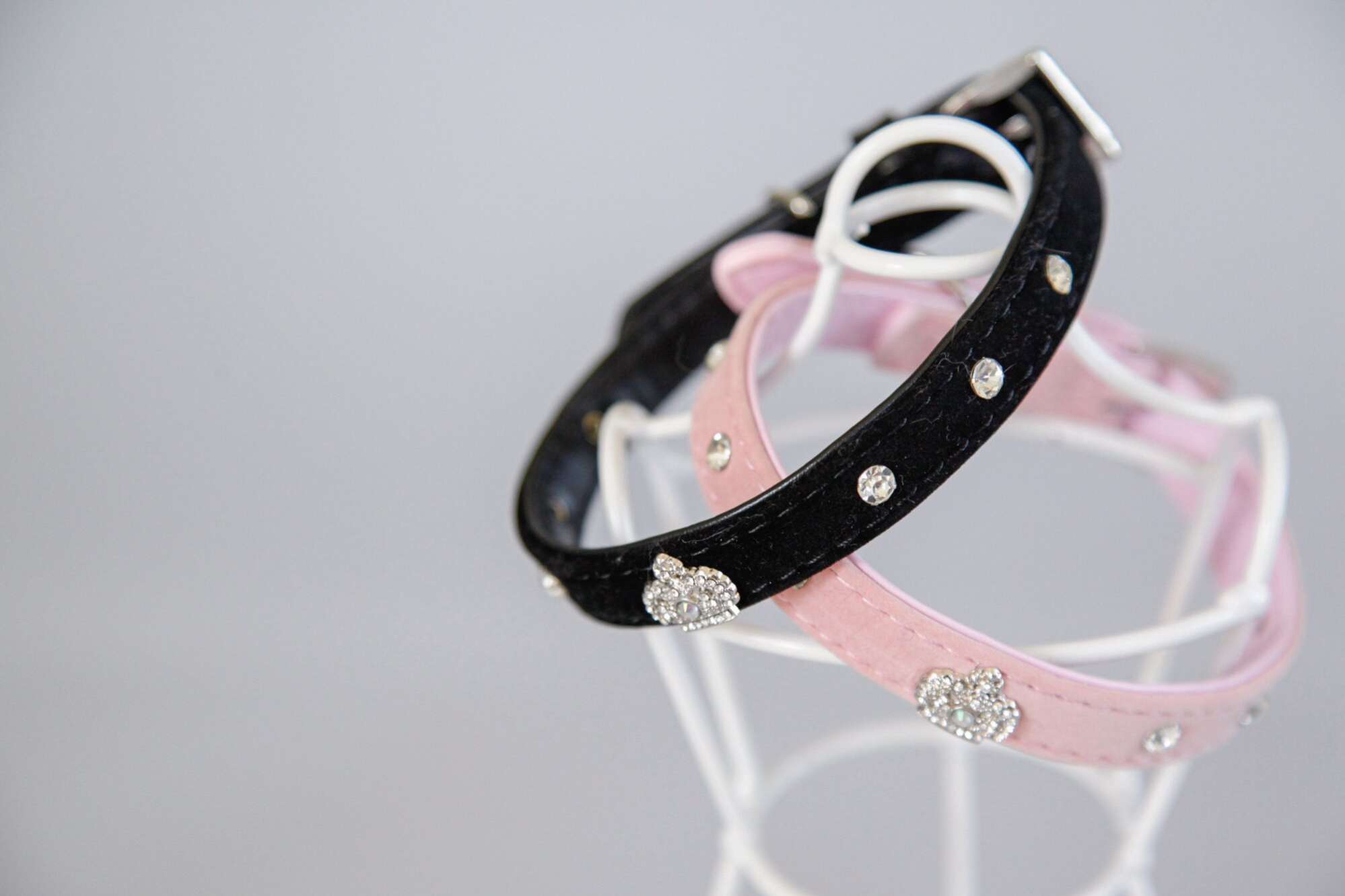 Ошейник для собак Pet Корона