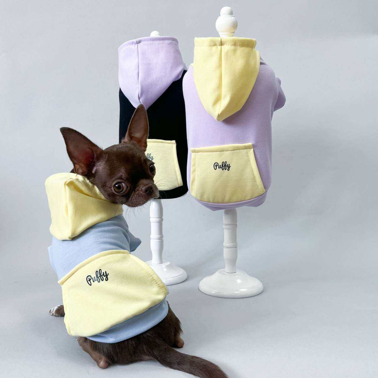 Толстовка для собак Puffy Краски Голубой