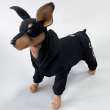 Костюм для собак трикотажный Puffy Игра в кальмара