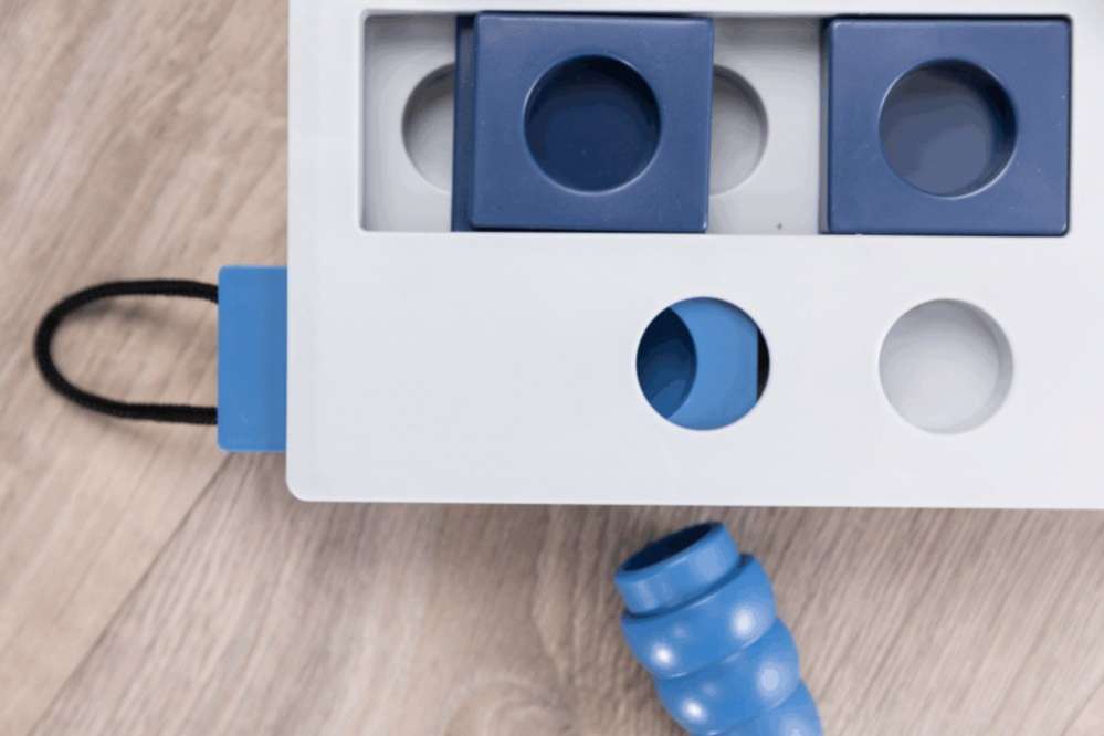 Развивающая игрушка для собак Mini Mover