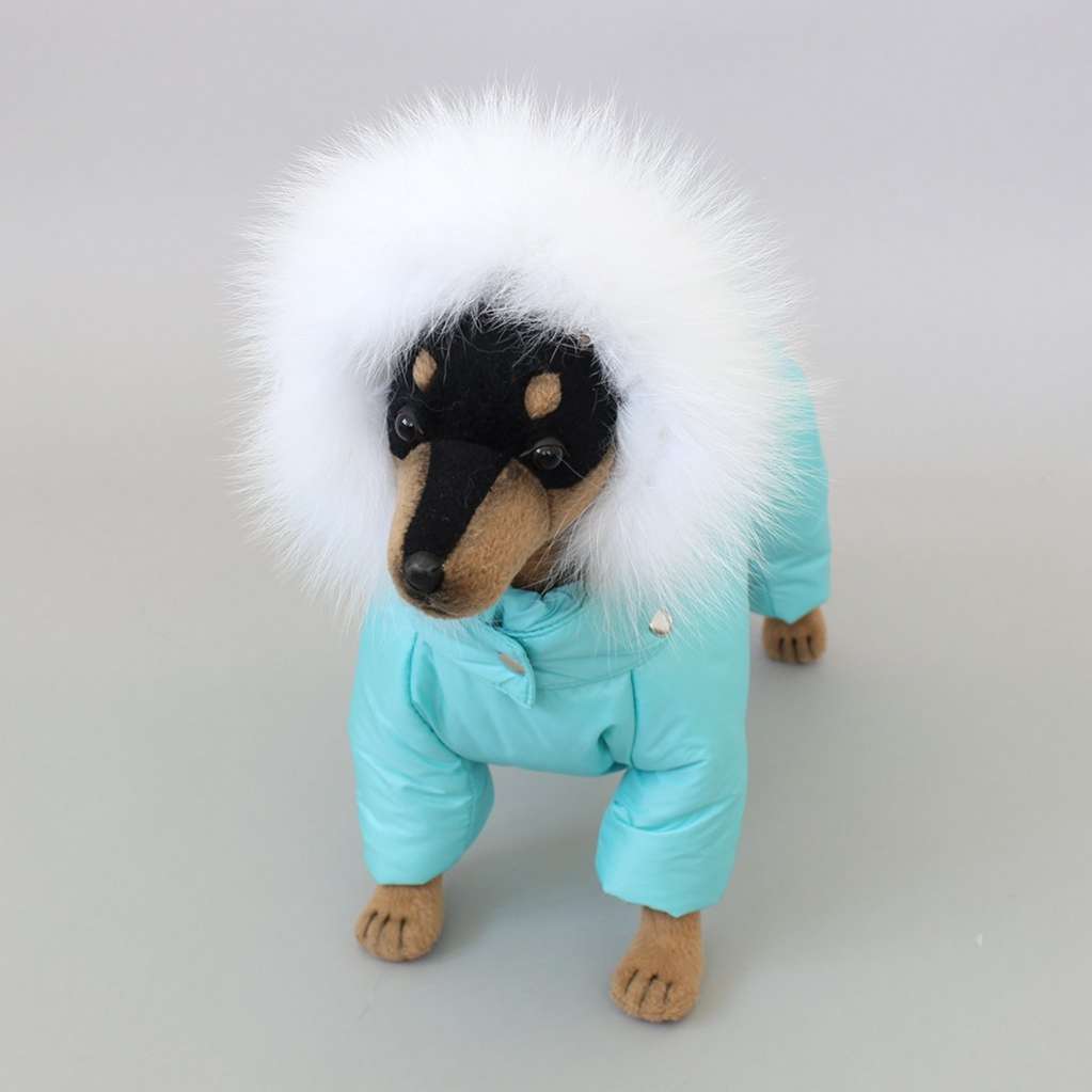 Комбинезон для собак Северное сияние Бирюза