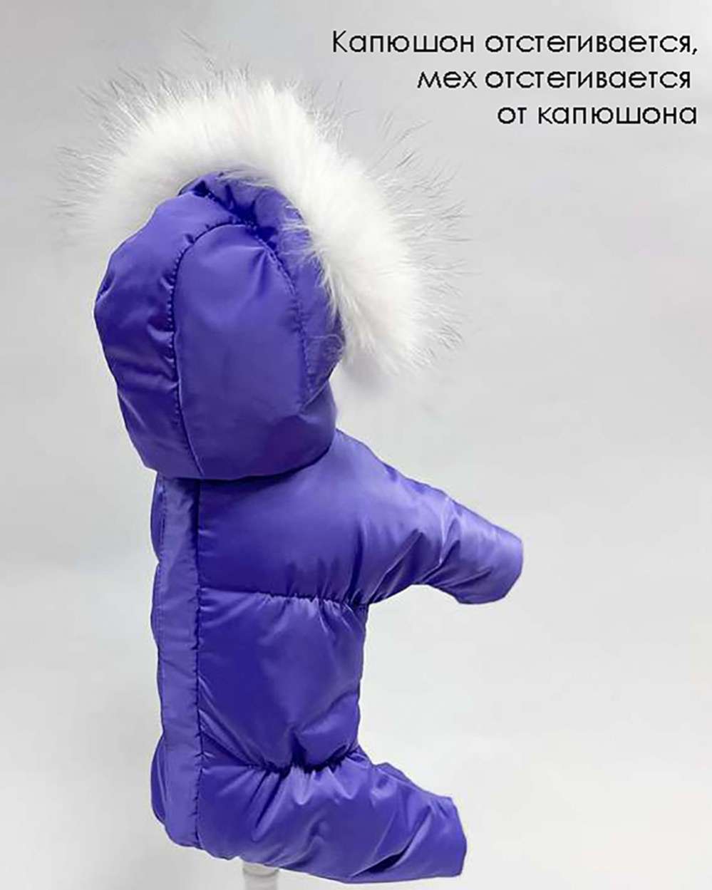 Комбинезон для собак Северное сияние Вайлет
