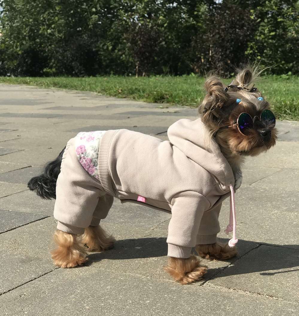 Костюм для собак трикотажный Premium Шеби