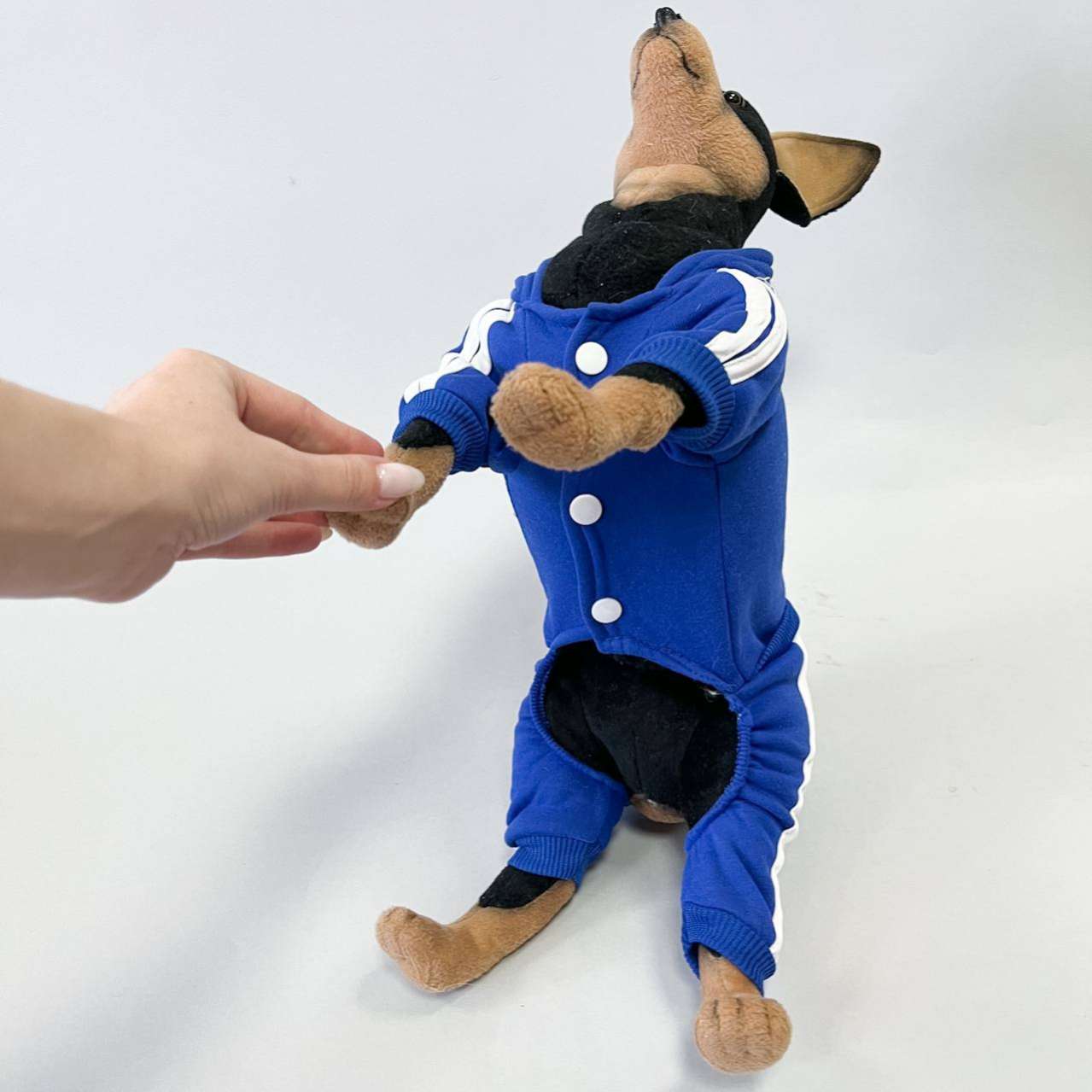 Спортивный костюм для собак Pet Adidog