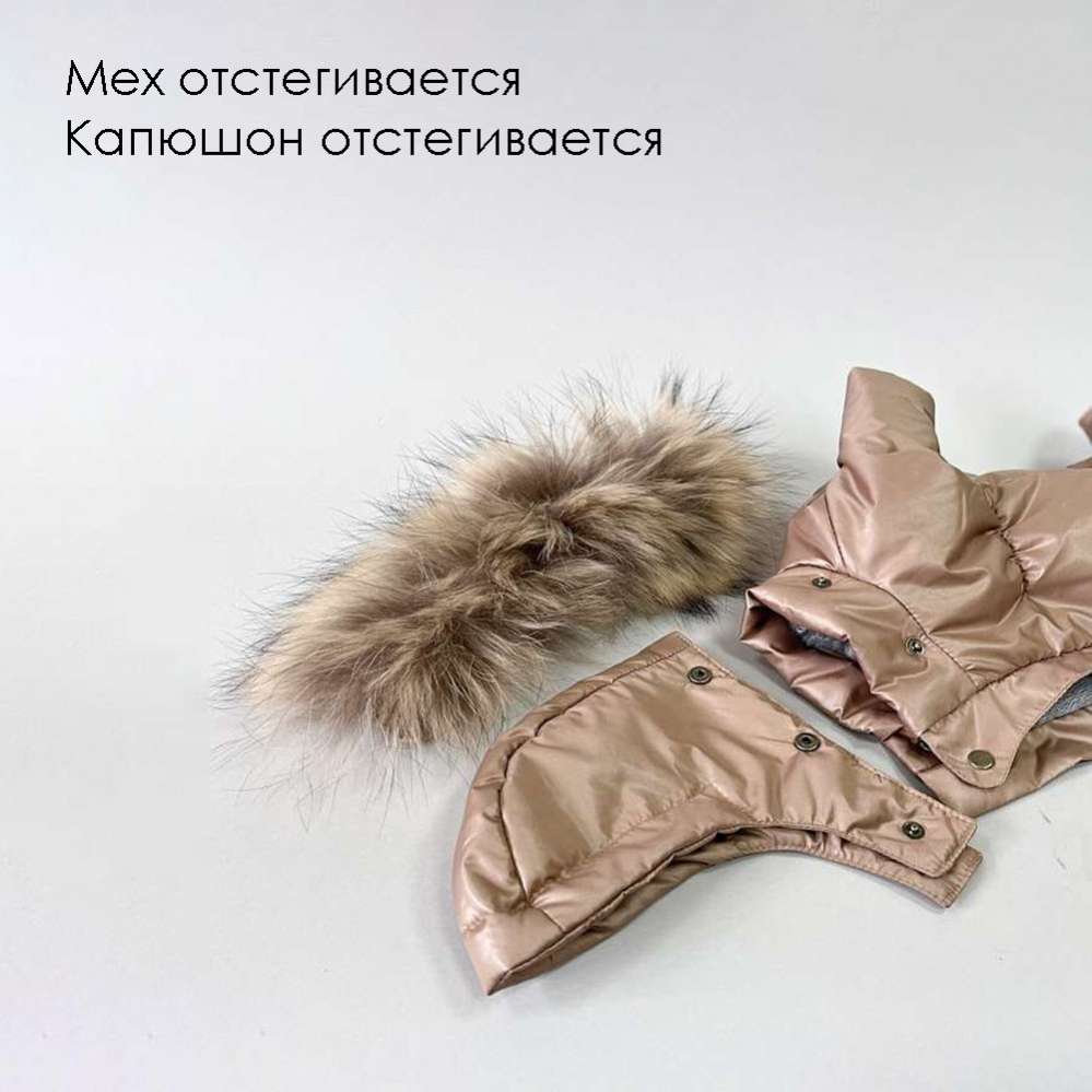 Зимний комбинезон для собак Северное сияние Нуга