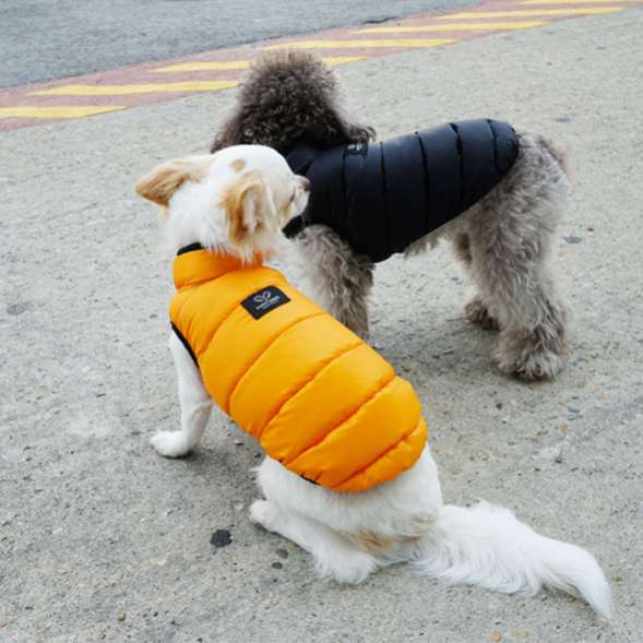 Жилетка для собаки PA Воздух