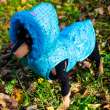 Попона для собак ForMyDogs Марсель на шелке