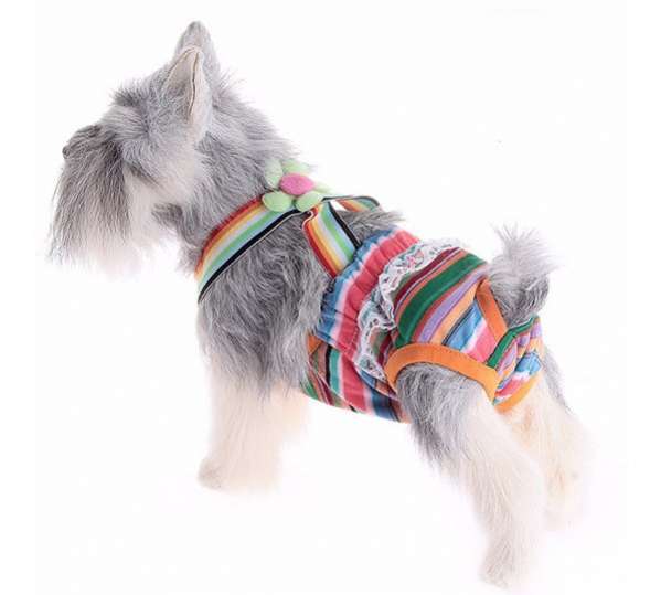 Трусы для собак Подтяжки