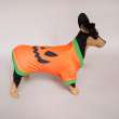 Майка для собаки Хэллоуин Тыква