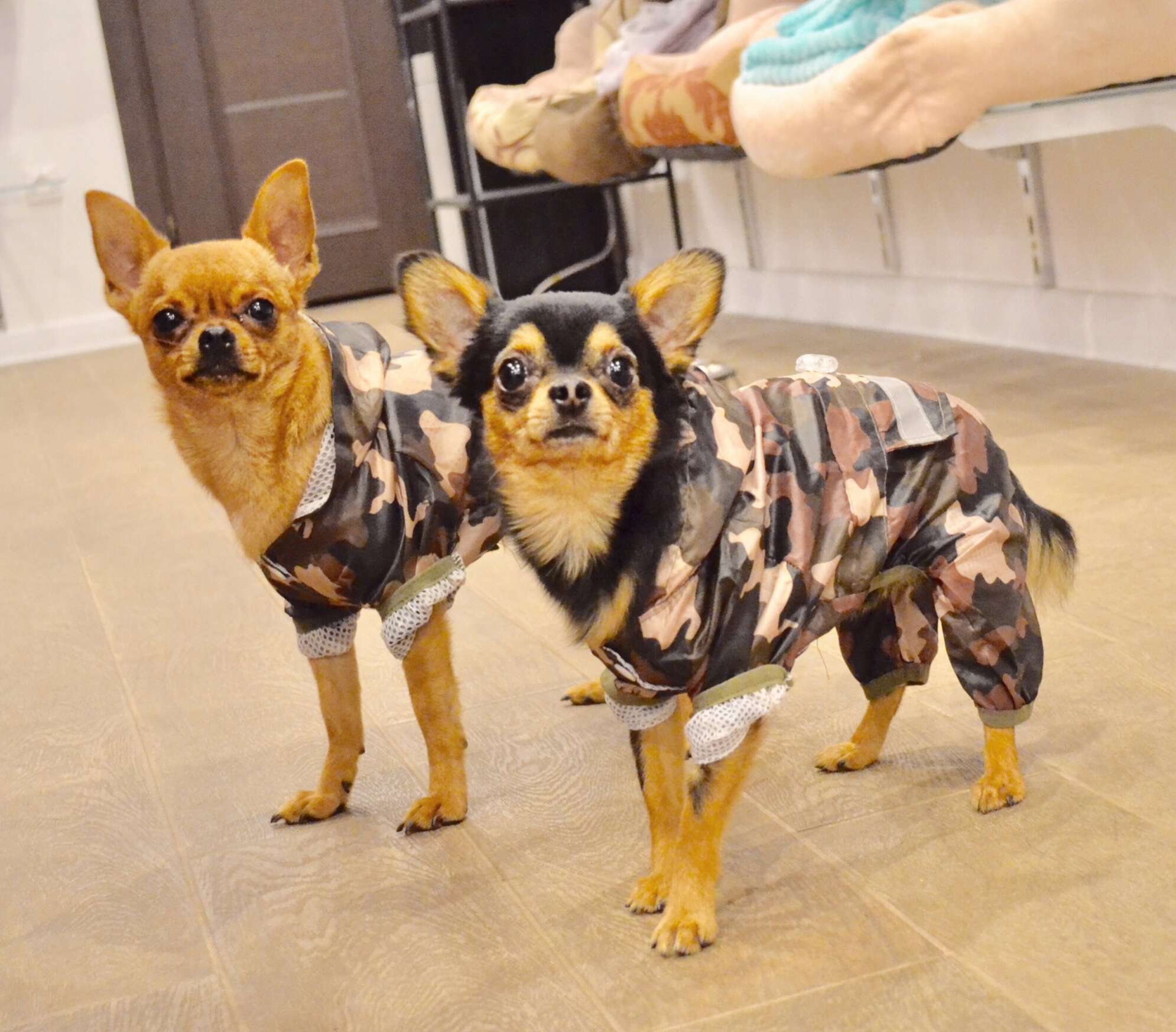 Дождевик для собаки Pet Милитари