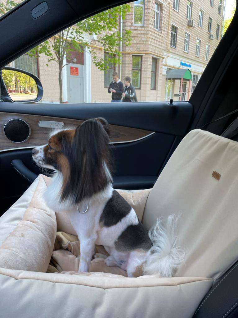 Автокресло для собак Puffy Камарело