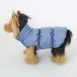Жилет для собаки Фиби стронг