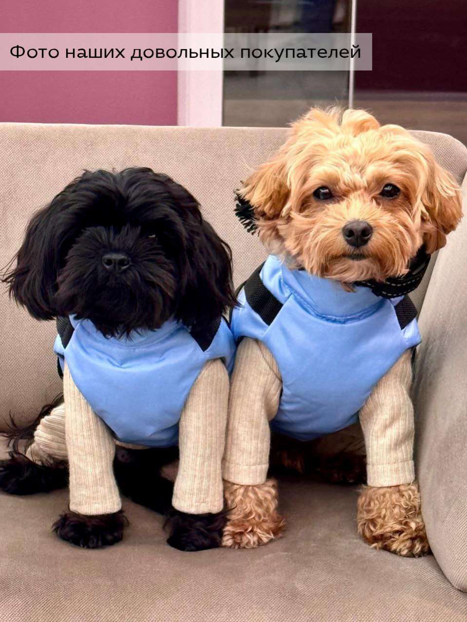 Жилетка для собак Puffy Фикс небо