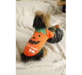 Футболка для собаки Хэллоуин Тыковка