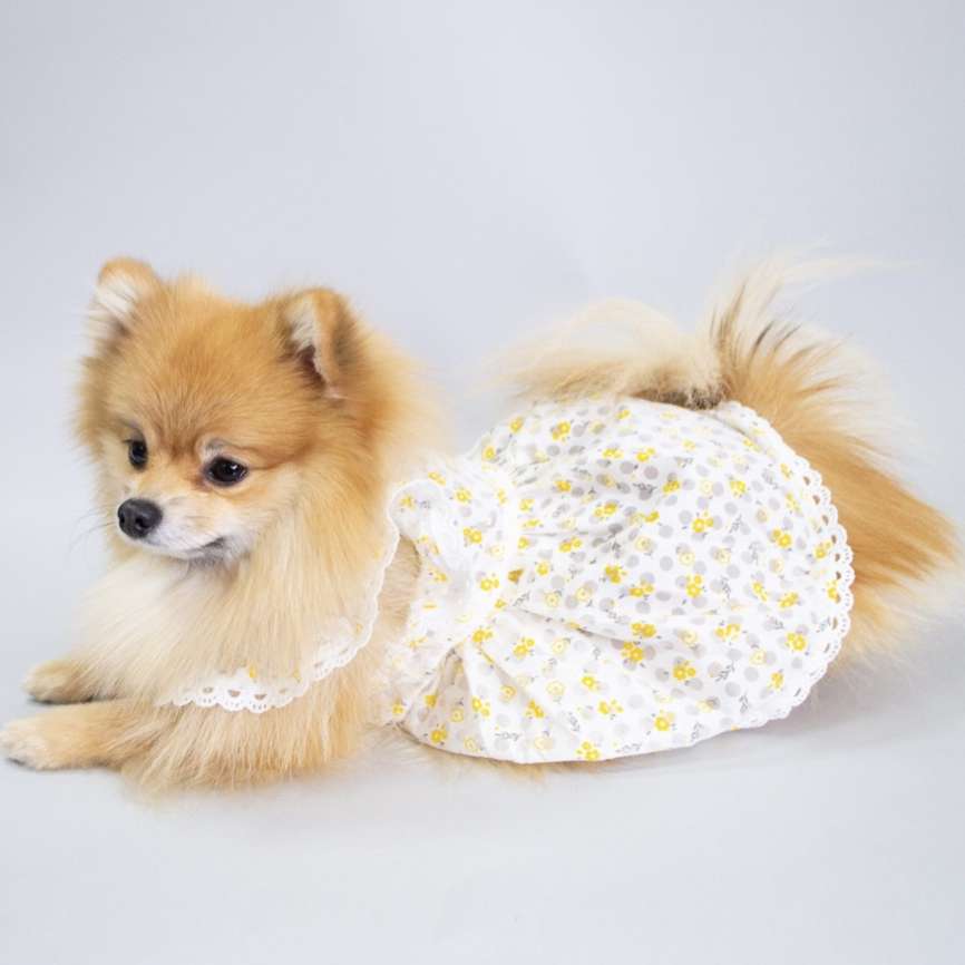 Сарафан для собак Pet Мирабелла