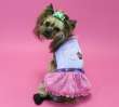 Платье для собак PA Королева гламура