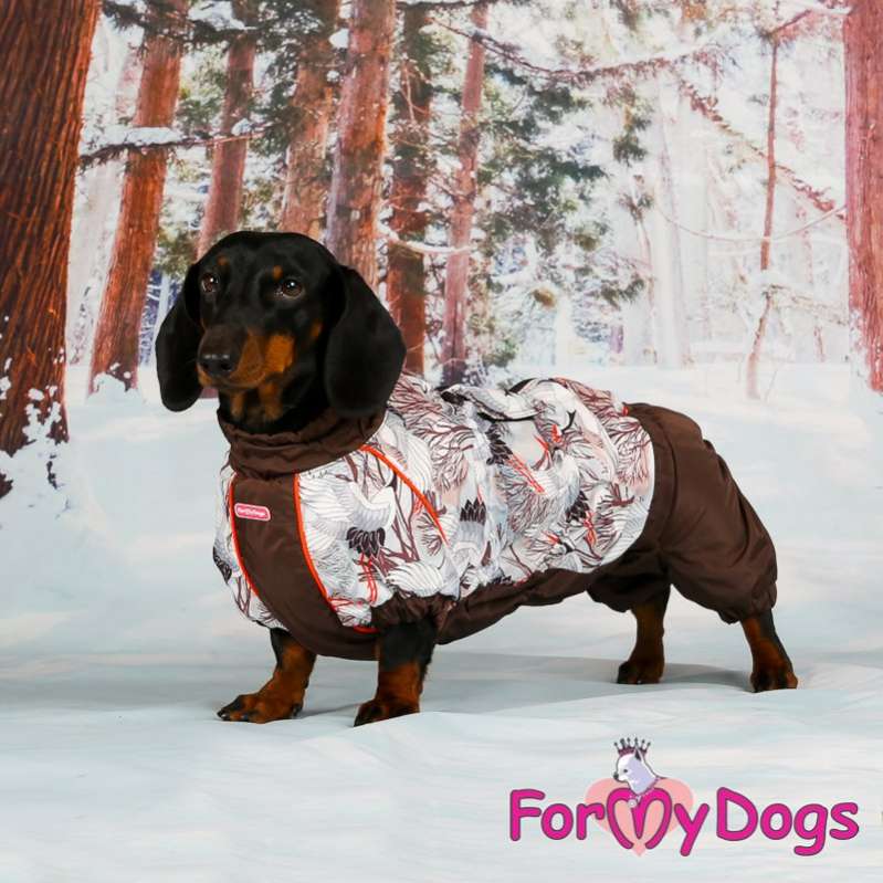 Комбинезон для таксы и корги ForMyDogs Аисты