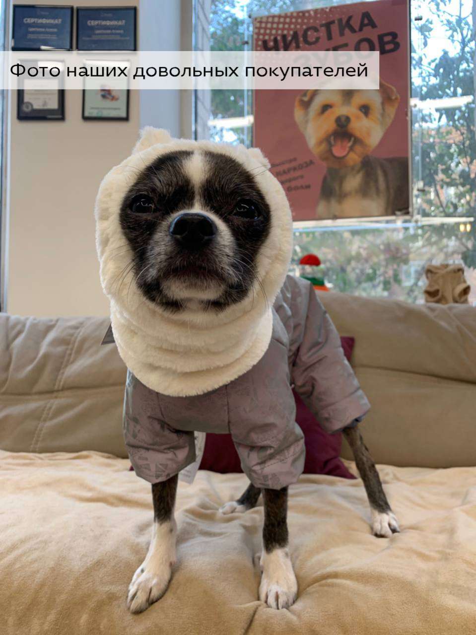 Шапка для собаки Капор Puffy Мишка