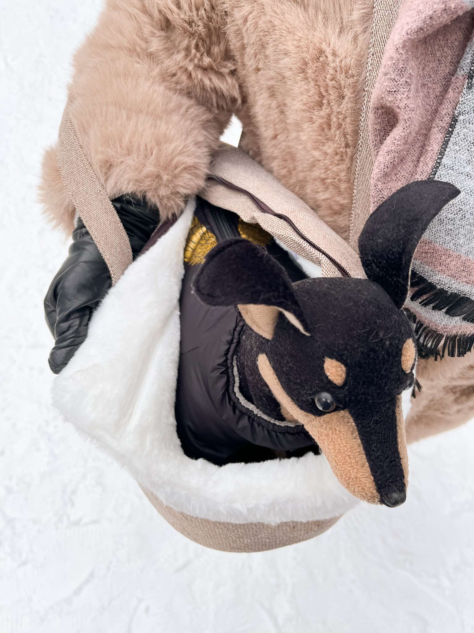 Сумка для собак Pet Жардин