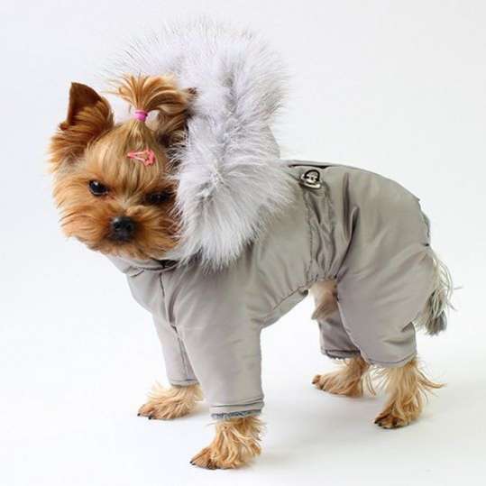 Зимний комбинезон для собак Северное сияние Серебро