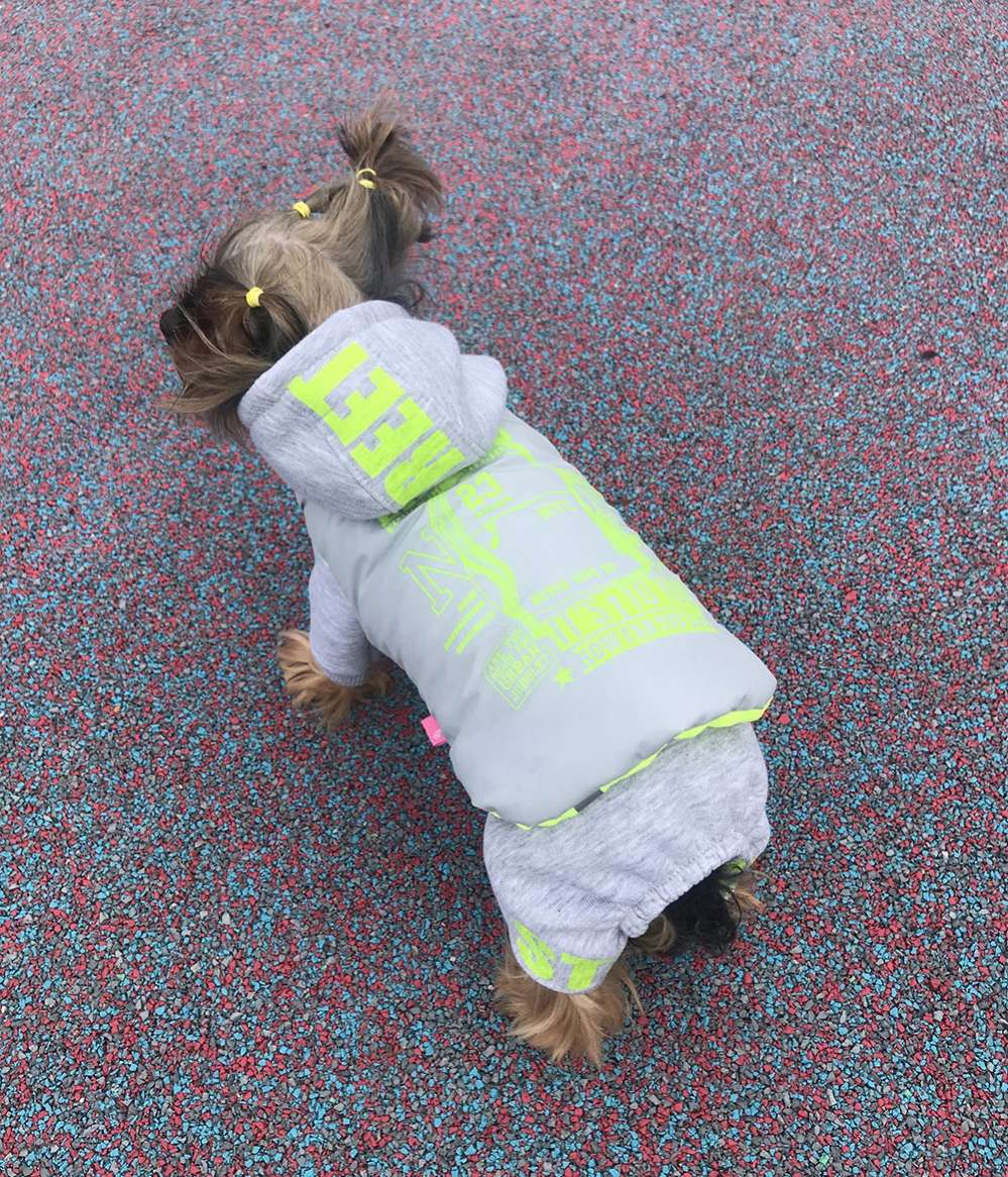 Комплект костюм и жилет для собаки Premium Неон