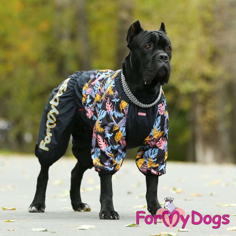 Комбинезон для собак на широкую грудь ForMyDogs Папоротник