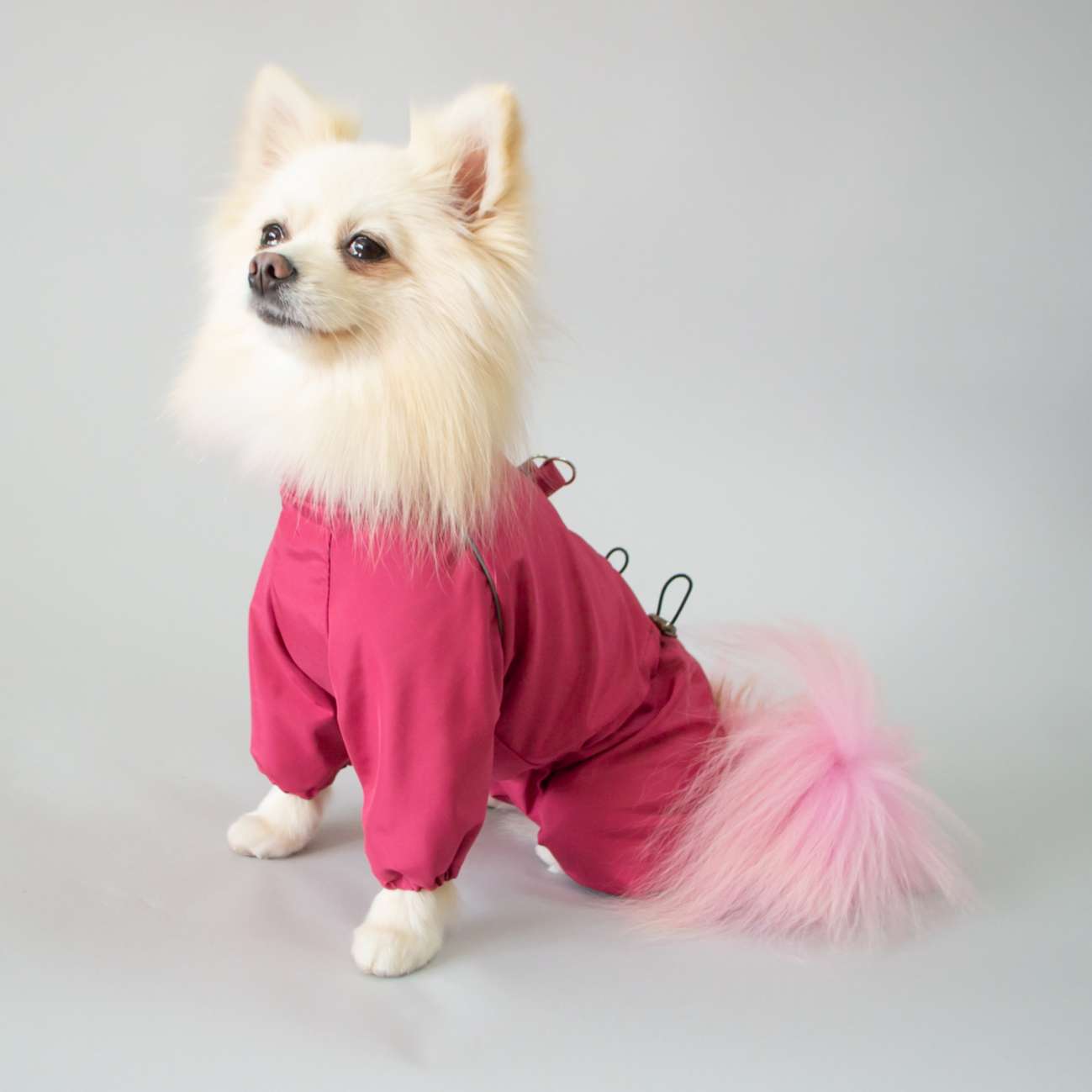 Дождевик для собаки Puffy Лапки