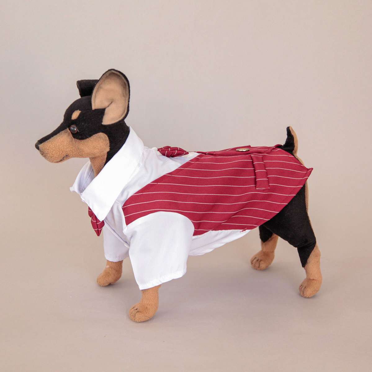 Пиджак для собаки праздничный