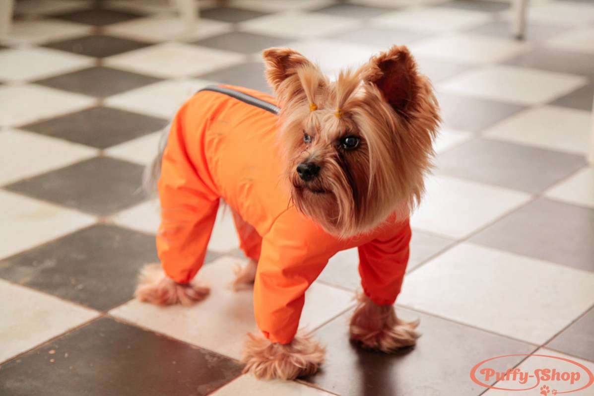 Дождевик для собаки Puffy Лайт оранжевый