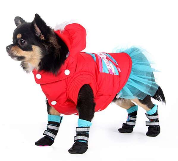 Обувь для собак ForMyDogs Флис Синие