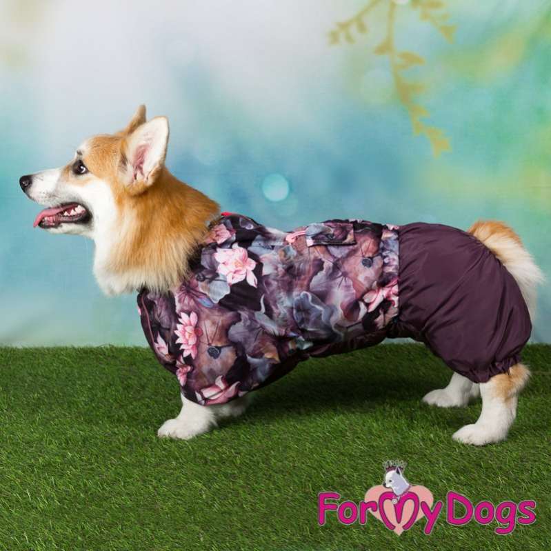 Дождевик для таксы и корги ForMyDogs Кувшинки