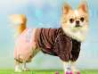 Костюм для собак велюровый ForMyDogs Конфетти