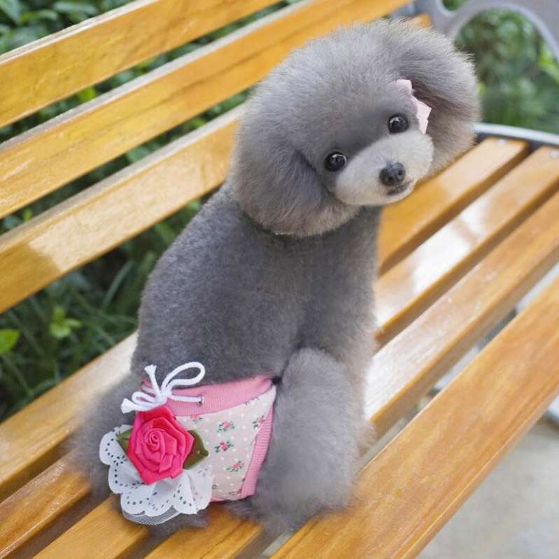 Трусики для собак гигиенические Роза (3 цвета)