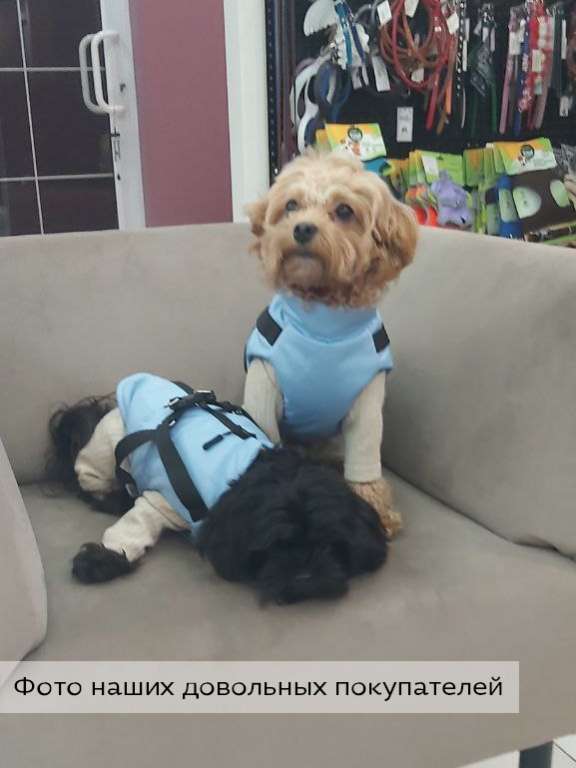 Жилетка для собак Puffy Фикс небо