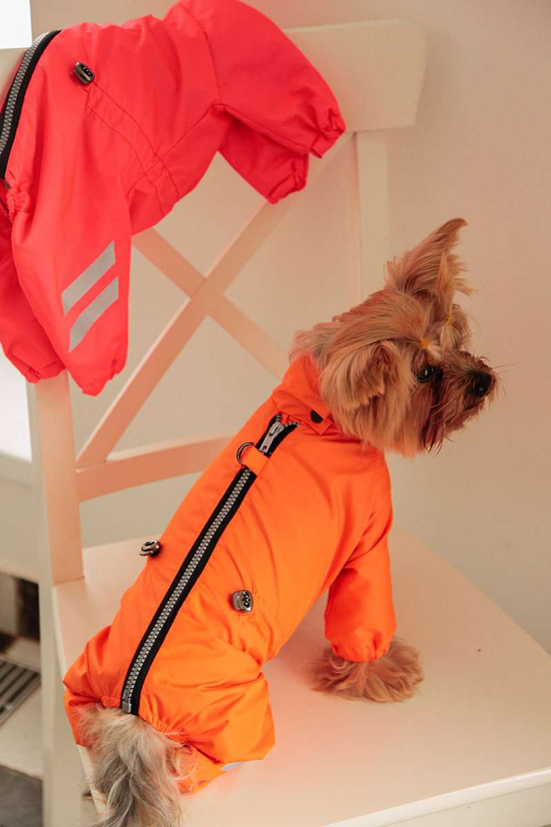 Дождевик для собаки Puffy Rich