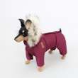 Зимний комбинезон для собак Северное сияние Бургунди