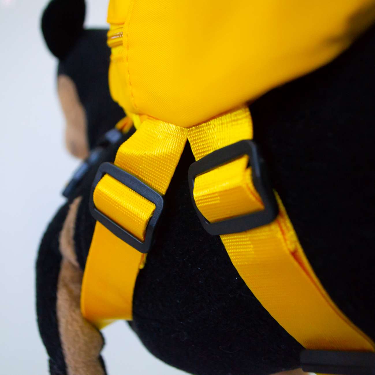 Рюкзак для собак Pet Джуманджи