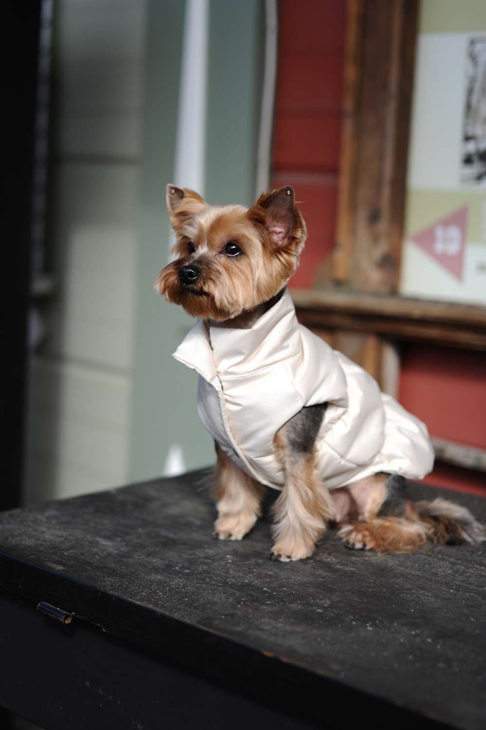 Жилетка Puffy Рич молочная