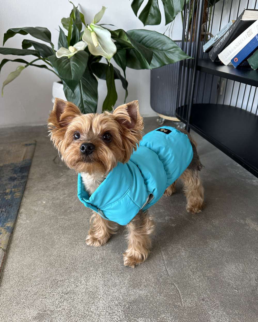 Жилетка Puffy Рич бирюзовая